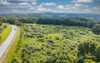 17.5 acres for sale near Bull Shoals Lake in Oakland Arkansas